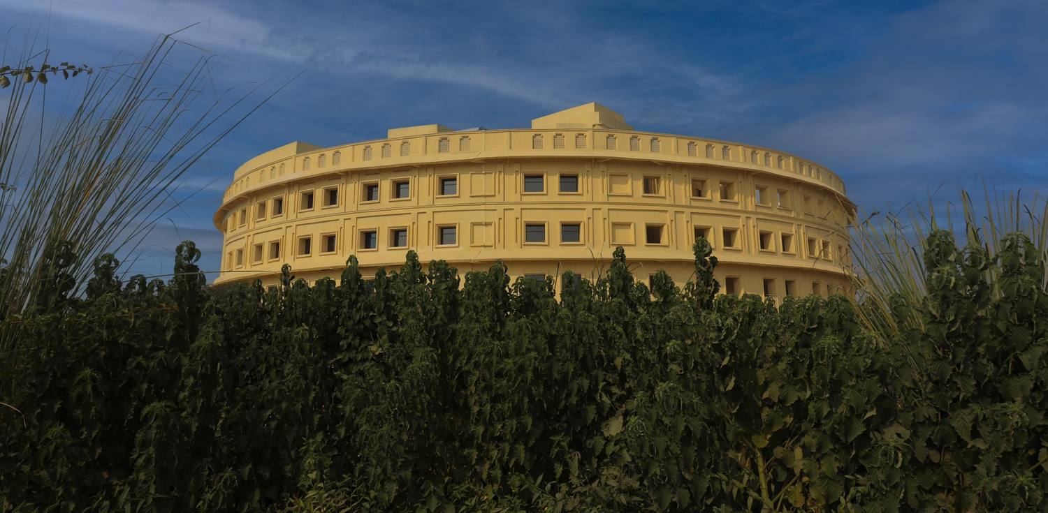 Atal Bihari Vajpayee Medical University