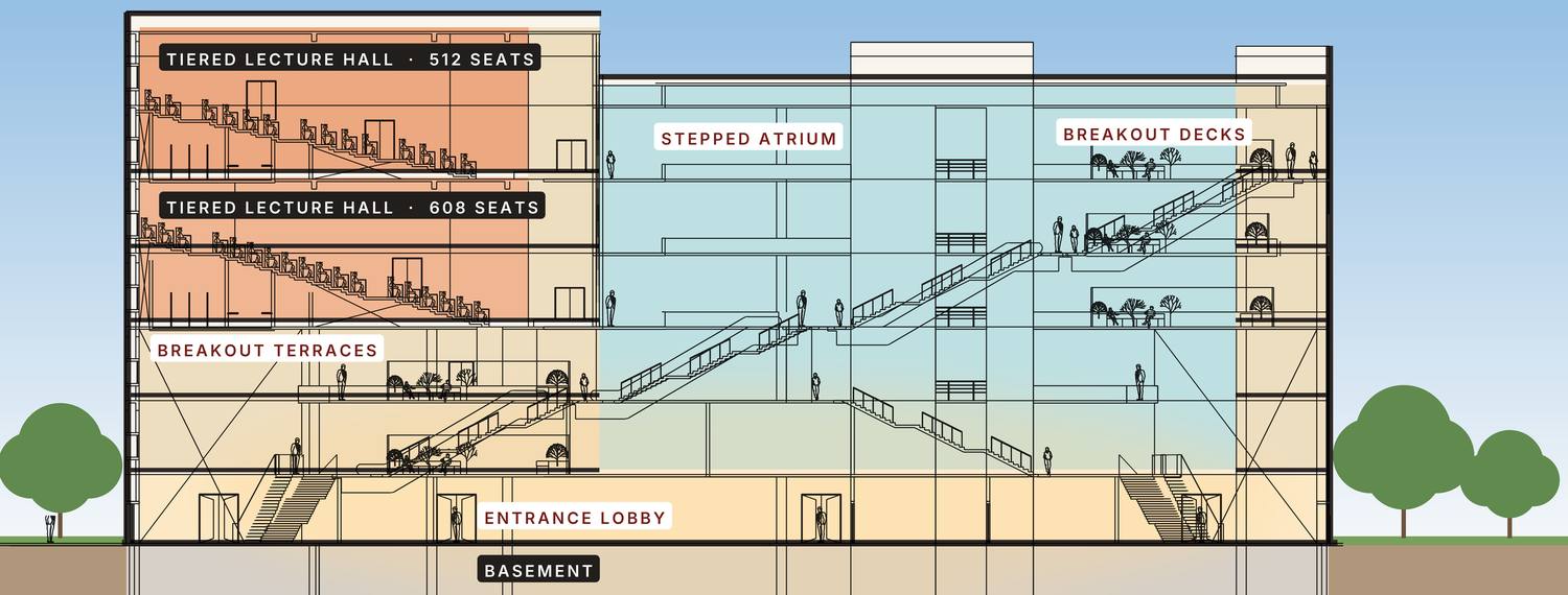 Section through the lecture halls and atrium
