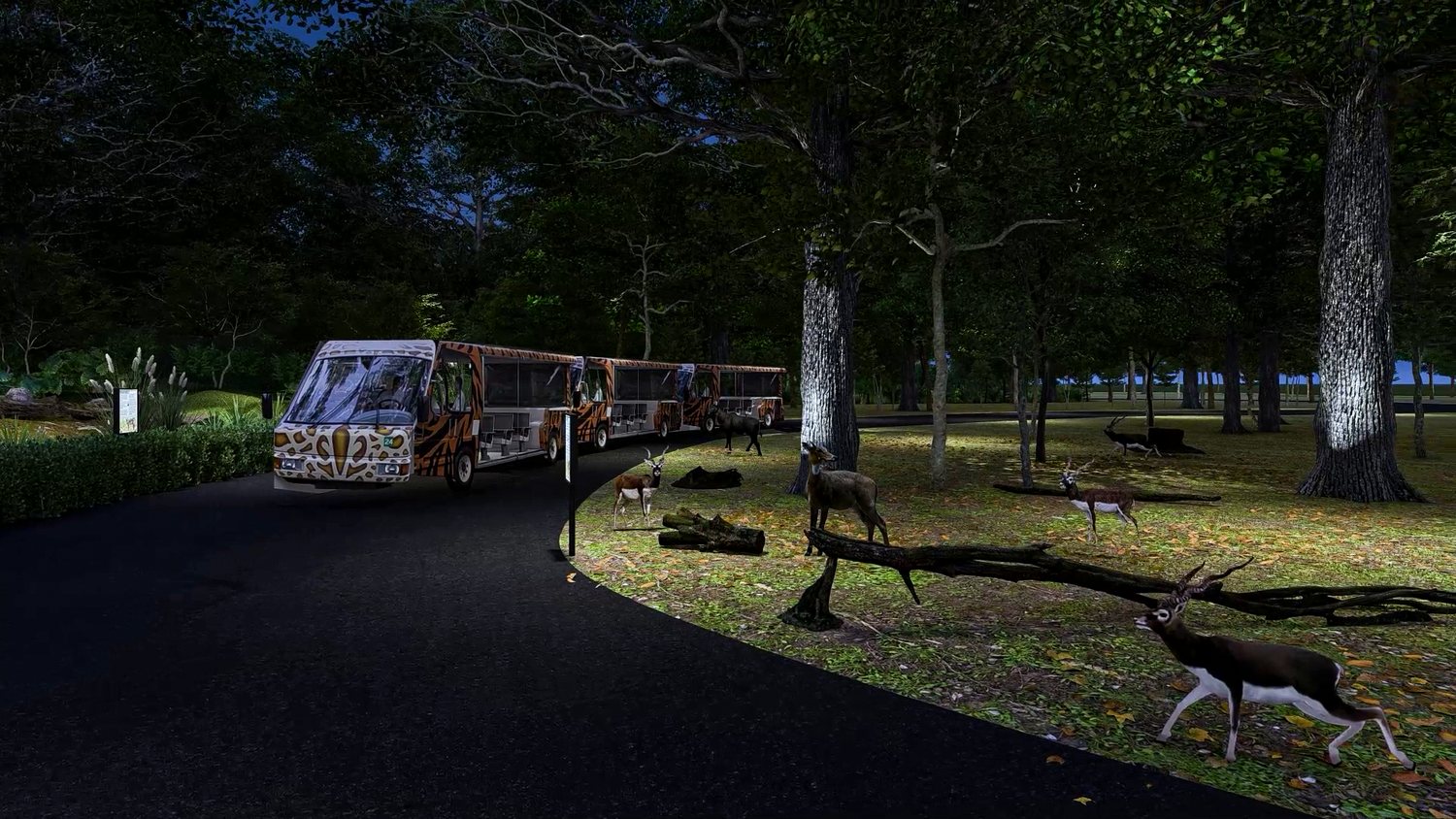 A night safari trail