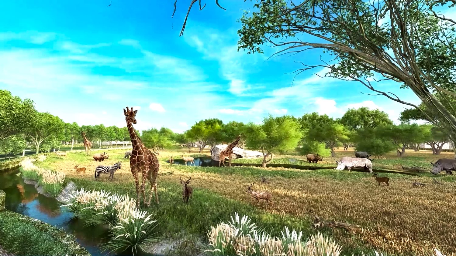 The African Savannah