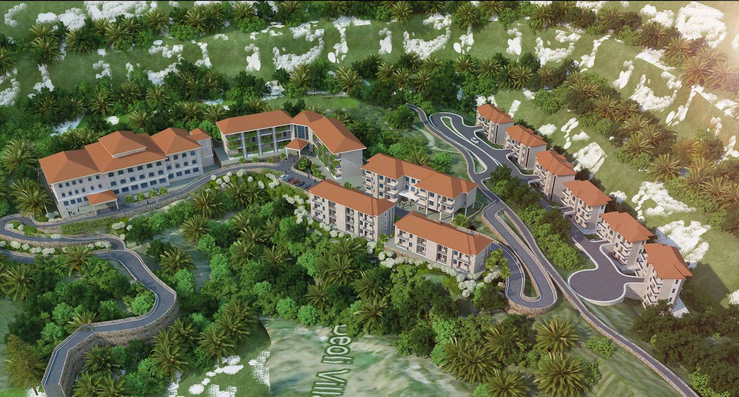 The campus along the contours, with the road climbing between the blocks